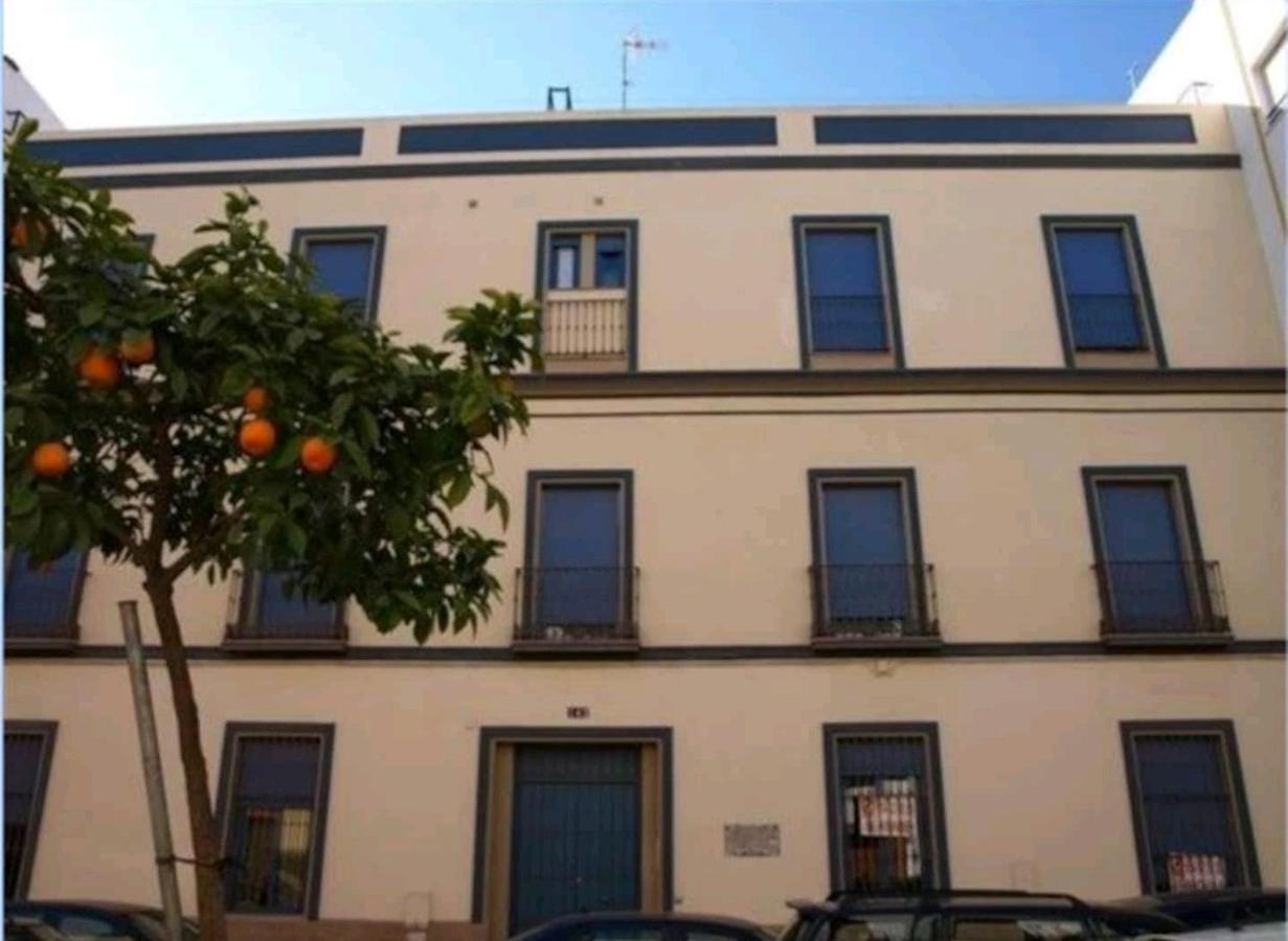 Triana 143 - Wifi, Seville